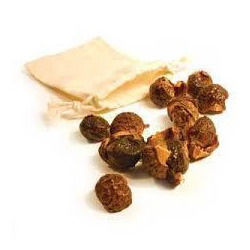 High Quality Soapnut Shell