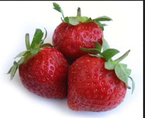 Fresh And Tasty Strawberry