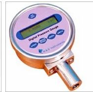 Low Price Digital Pressure Gauge