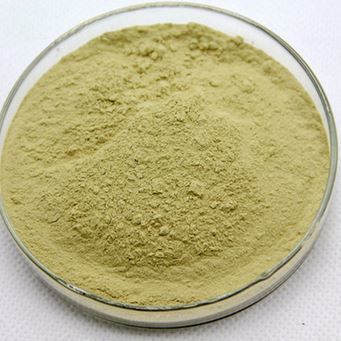 Banaba Extract