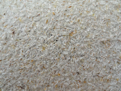 Psyllium Husk - High Purity White Fibrous Material | Over 80% Natural Fiber Content, Rich in Glycosides and Polysaccharides