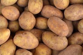 100% Organic Potato