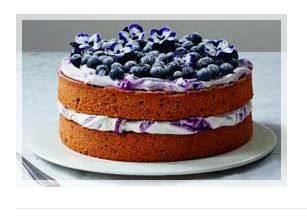 Low Price Blueberry Cake