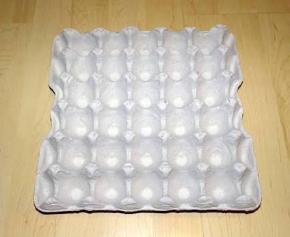 30 Eggs Tray Pulp Paper