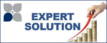 Expert Financial Consultant Services By SNP MANAGEMENT ACCOUNTING PVT LTD.