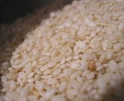 Quality Tested Sesame Seeds