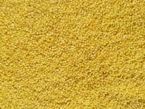 High Rich Foxtail (Thinai) Millet