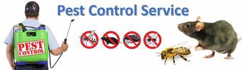 Indoor Pest Control Services By AA Pest Control Services