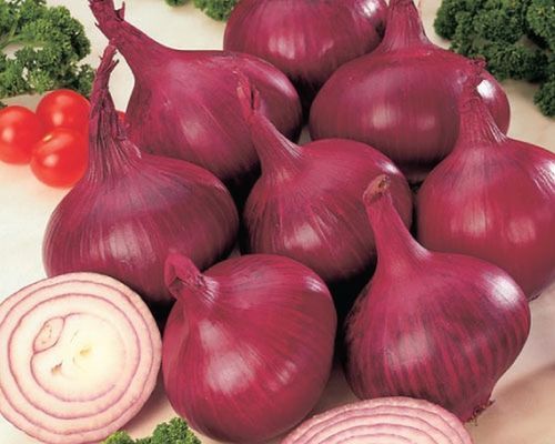 Fresh Natural Red Onion