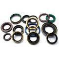 Quality Standard Oil Seals