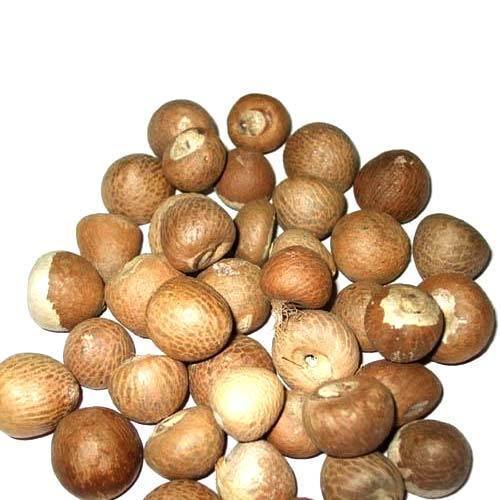Unmatched Quality Betel Nut