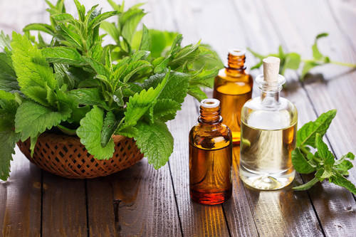 Low Price Peppermint Oil