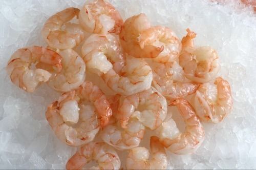 Fresh Sea Tiger Prawn