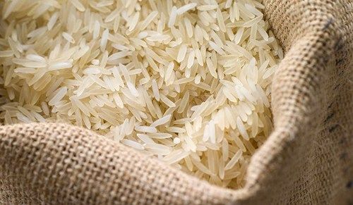 Fresh Golden Color Medium Grain Basmati Rice