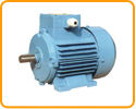 Low Price Inverter Duty Motors