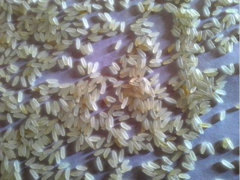 Ir 36 Parboiled Rice