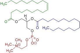 High Quality Phosphatidylcholines (Pc)