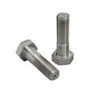 Industrial Stainless Steel Nuts