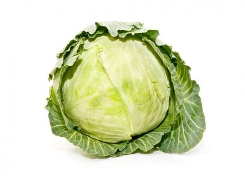 Highly Fresh Cabbage