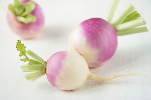 Low Price And Fresh Turnip