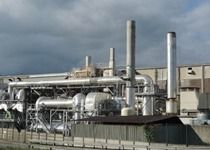 Low Price Cogen Power Plant