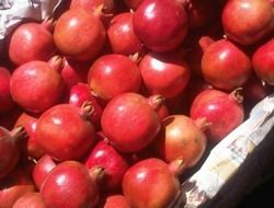 High Grade Fresh Pomegranate