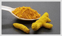 Pure Organic Turmeric Powder