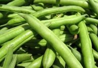 Frozen Fresh Green Beans