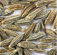 Natural Organic Cumin Seeds