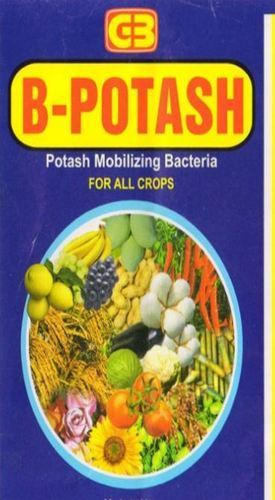 Potash Mobilizing Bacteria For Crops