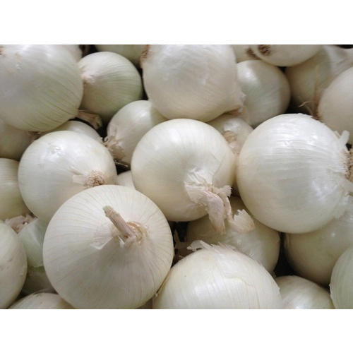 Organic Fresh White Onions