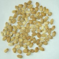 Chemical Free Bitter Gourd Seeds