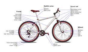 Long Life Tube For Cycle