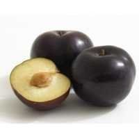 Quality Approved Fresh Plum