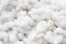 Soft White Cotton Fiber