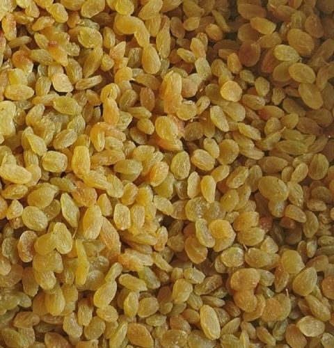 Indian Golden Dry Raisins