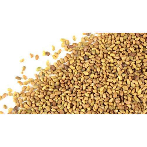 Fresh Organic Alfalfa Seeds