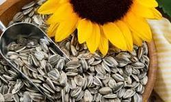 Longer Shelf Life Sunflower Seeds