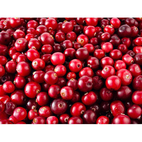 Organic Tasty Cranberry Seeds