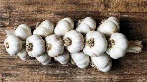 Pure White Fresh Garlic