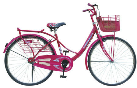 Heavy Duty Ladies Bicycle