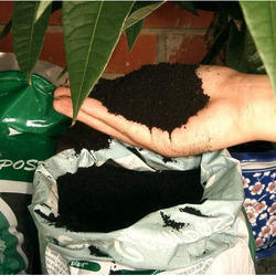 Organic Black Bio Fertilizer