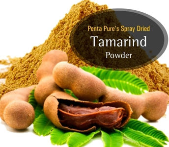 Pure Dehydrated Tamarind Powder
