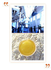 Fiber Egg Powder Production Plant