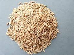 Supreme Quality Paddy Seeds