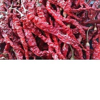 Byadgi With Stem Dried Red Chilli 