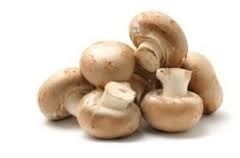 Healthy Nutritious Fresh Mushrooms