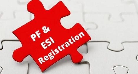 Pf And Esi Registration Services