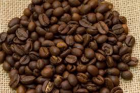 Premium Organic Coffee Beans