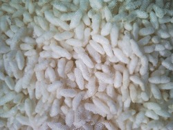 ताजा और स्वस्थ बासमती ममरा (मुरमुरा)